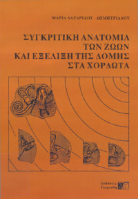 Φωτογραφία του περιγραφόμενου στοιχείου