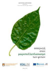 Φωτογραφία του περιγραφόμενου στοιχείου