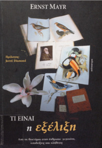 Αρχείο σε μορφή PDF