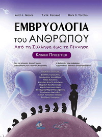 Φωτογραφία του περιγραφόμενου στοιχείου