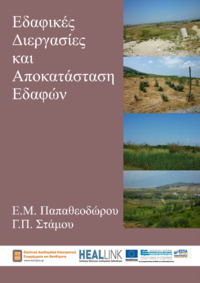 Φωτογραφία του περιγραφόμενου στοιχείου